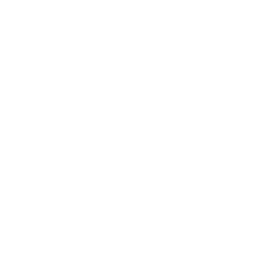 Gold - Adrenaline Ability - College Football 26