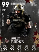 Sully Burns