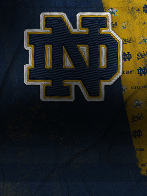 Styles Prescod Core Uncommon 71 OVR - College Football 26